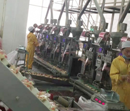 豆（dòu）奶粉袋中袋生產（chǎn）線 Soy milk powder bag-in-bag production line