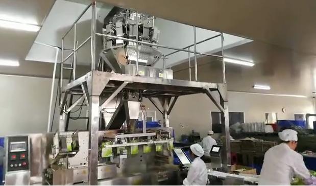 食品包裝機的組成部分和工作原（yuán）理（lǐ）